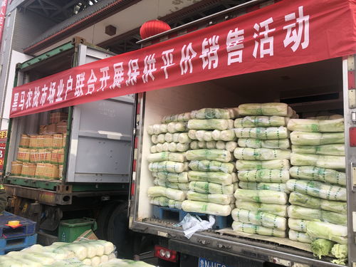 疫情面前，这就是德州民企 捐钱物、保生产、保供应，全力支援抗疫战斗