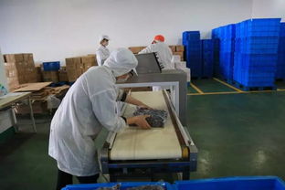 揭秘松江食品产业巨头 年销售额超50亿的行业典范